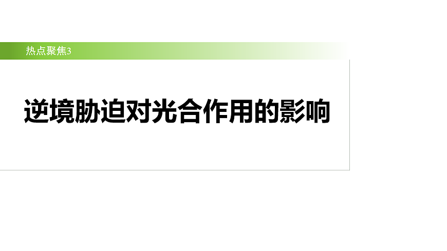 17926295第2页