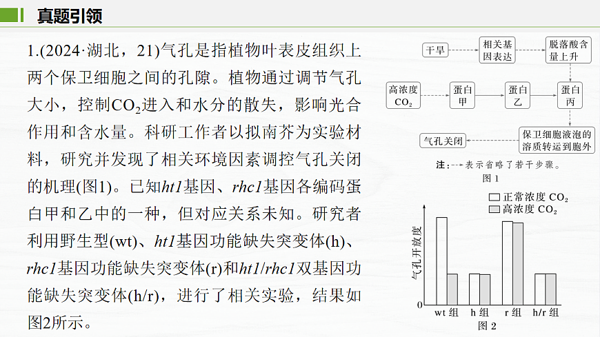 17926295第3页