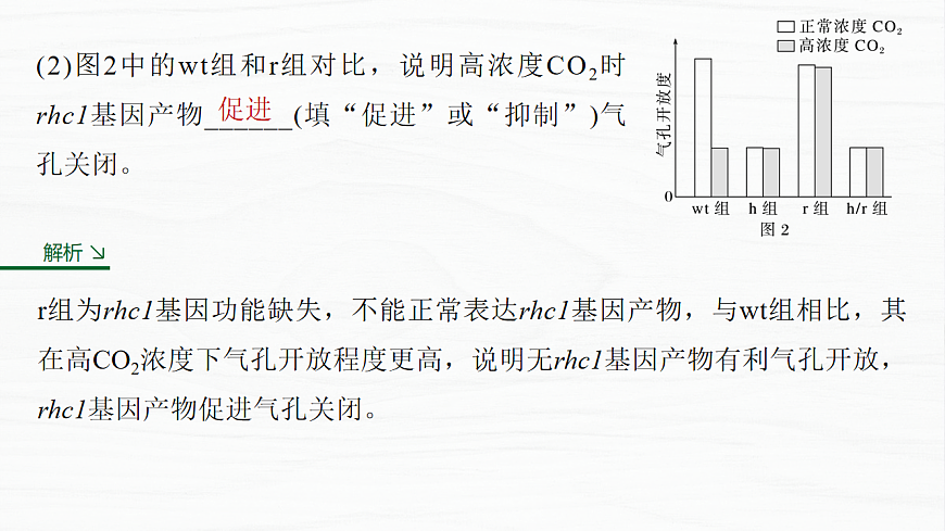 17926295第5页