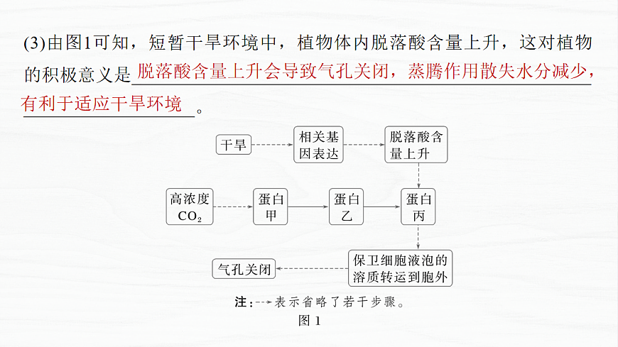 17926295第6页