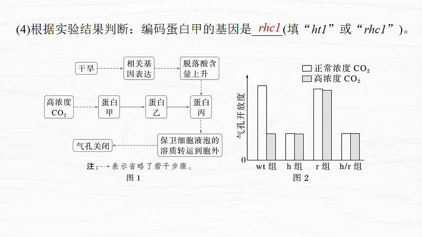 17926295第7页
