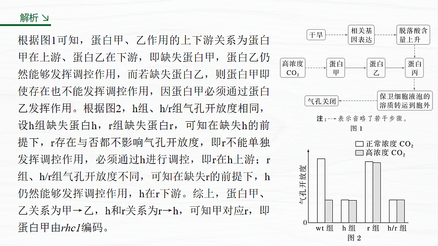 17926295第8页