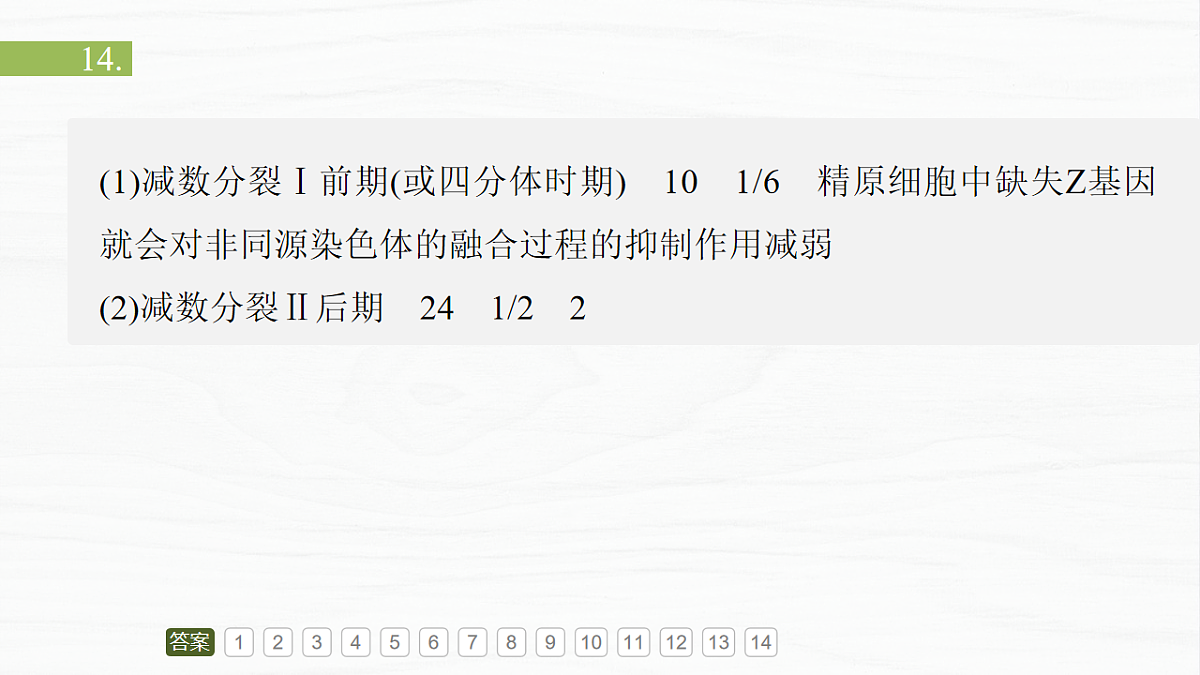 17926296第3页