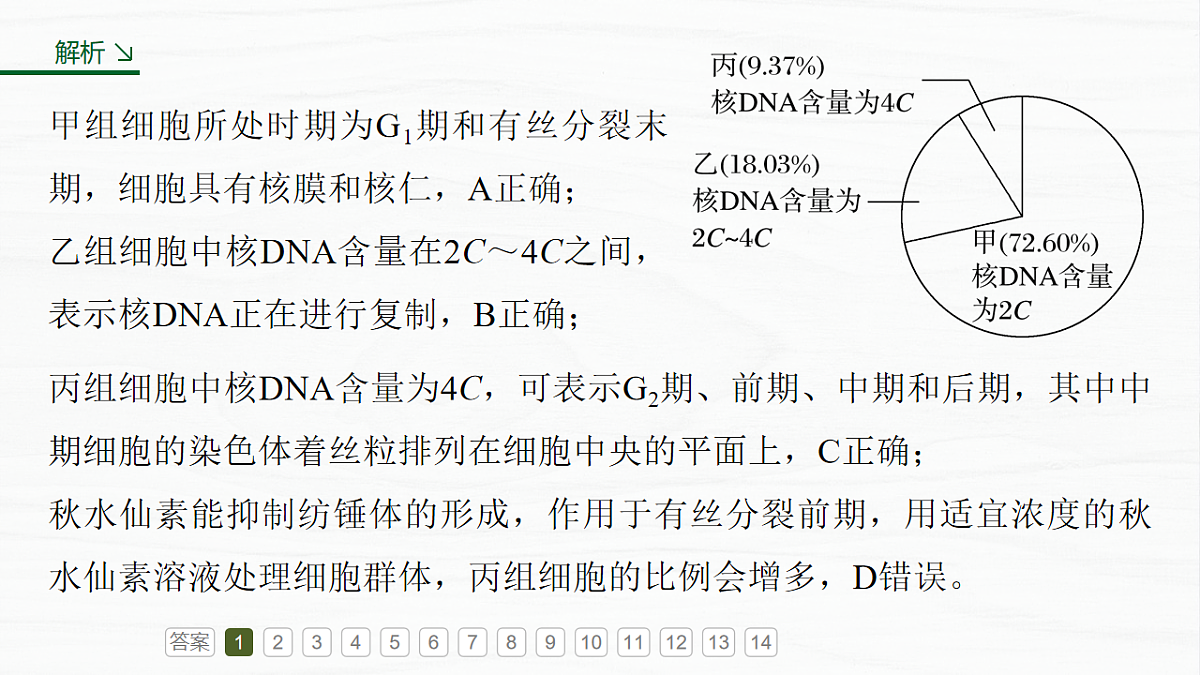 17926296第5页