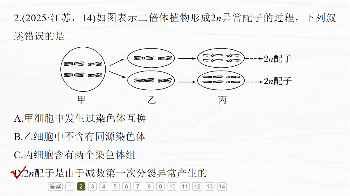 17926296第6页