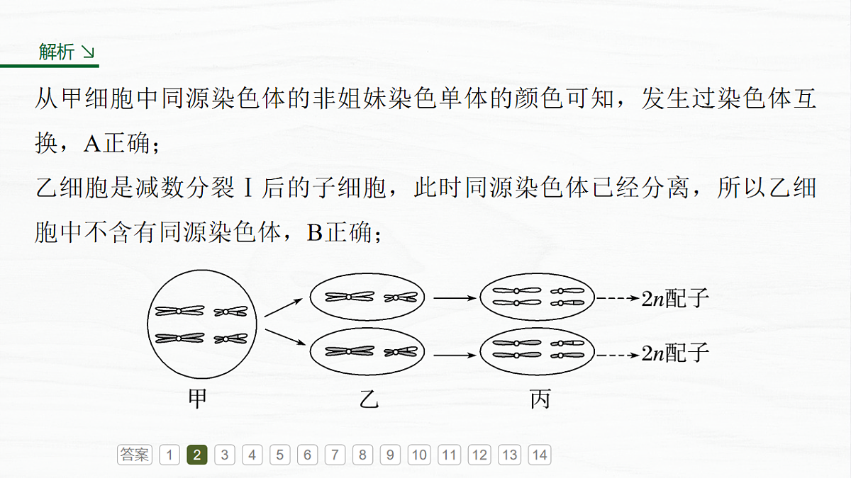 17926296第7页