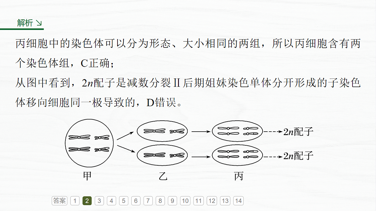 17926296第8页