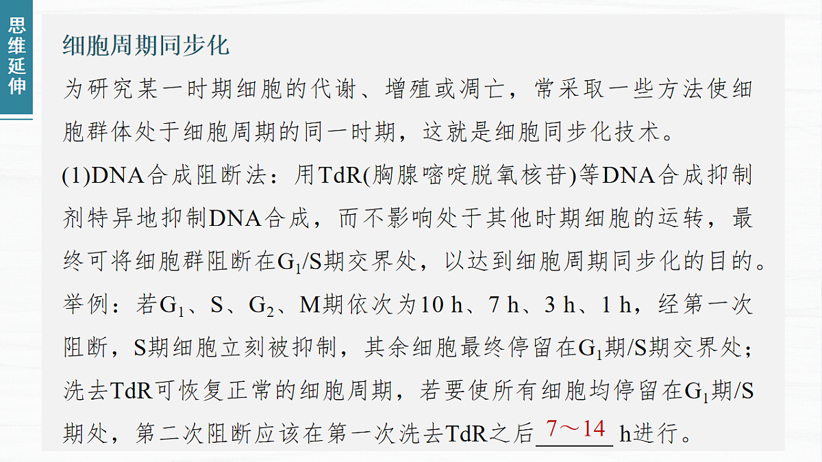 17926298第8页