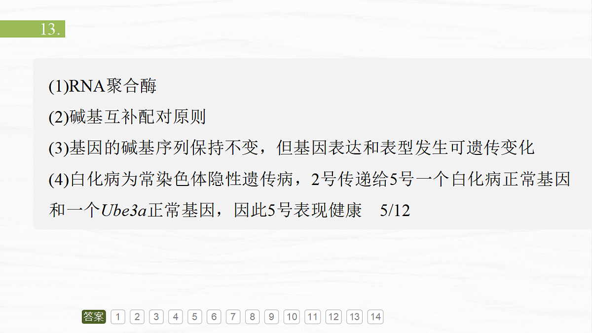 17926299第3页