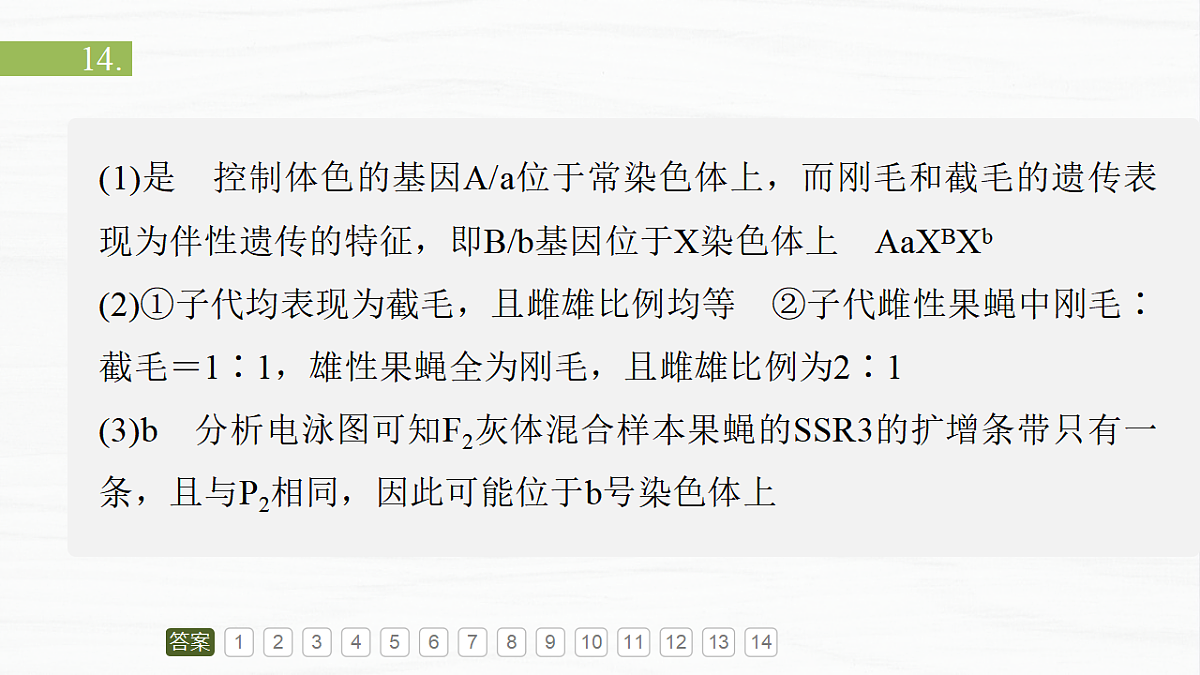 17926299第4页