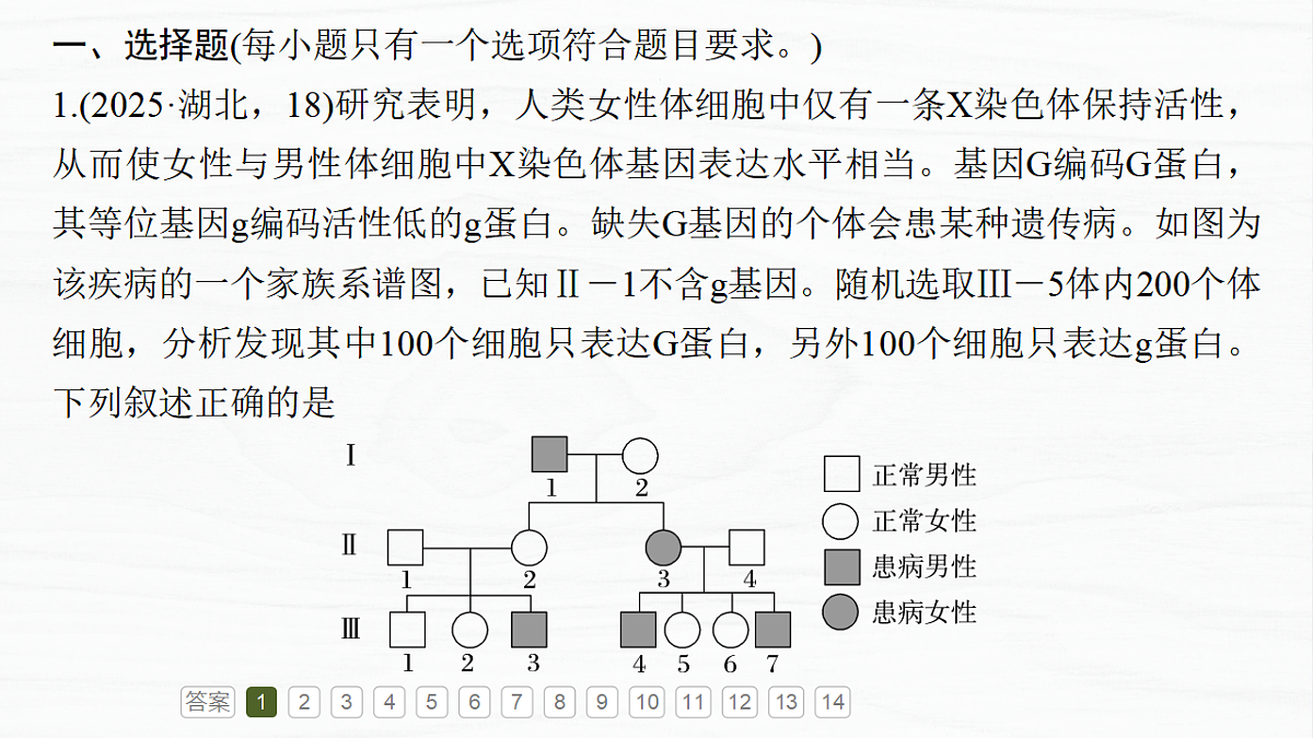 17926299第5页