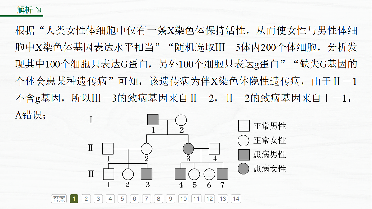 17926299第7页