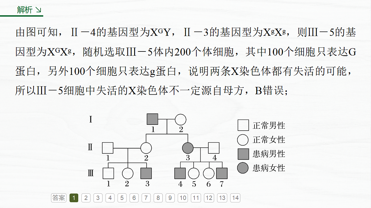 17926299第8页