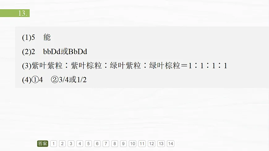17926301第3页