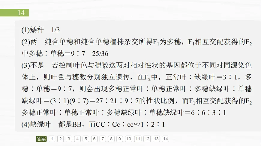 17926301第4页
