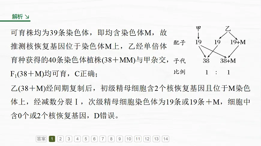 17926301第7页