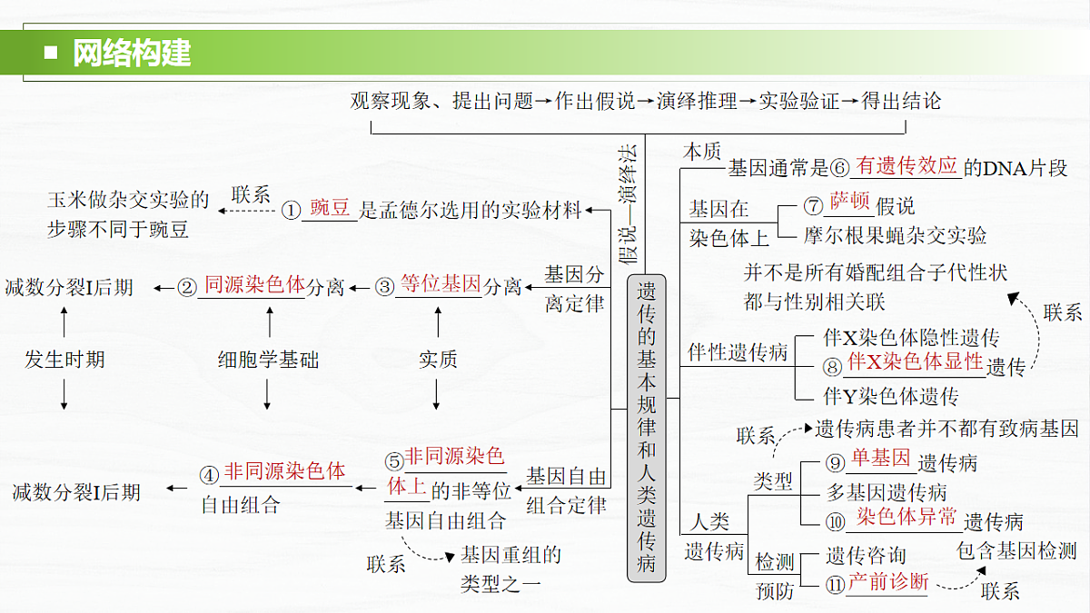 17926302第2页