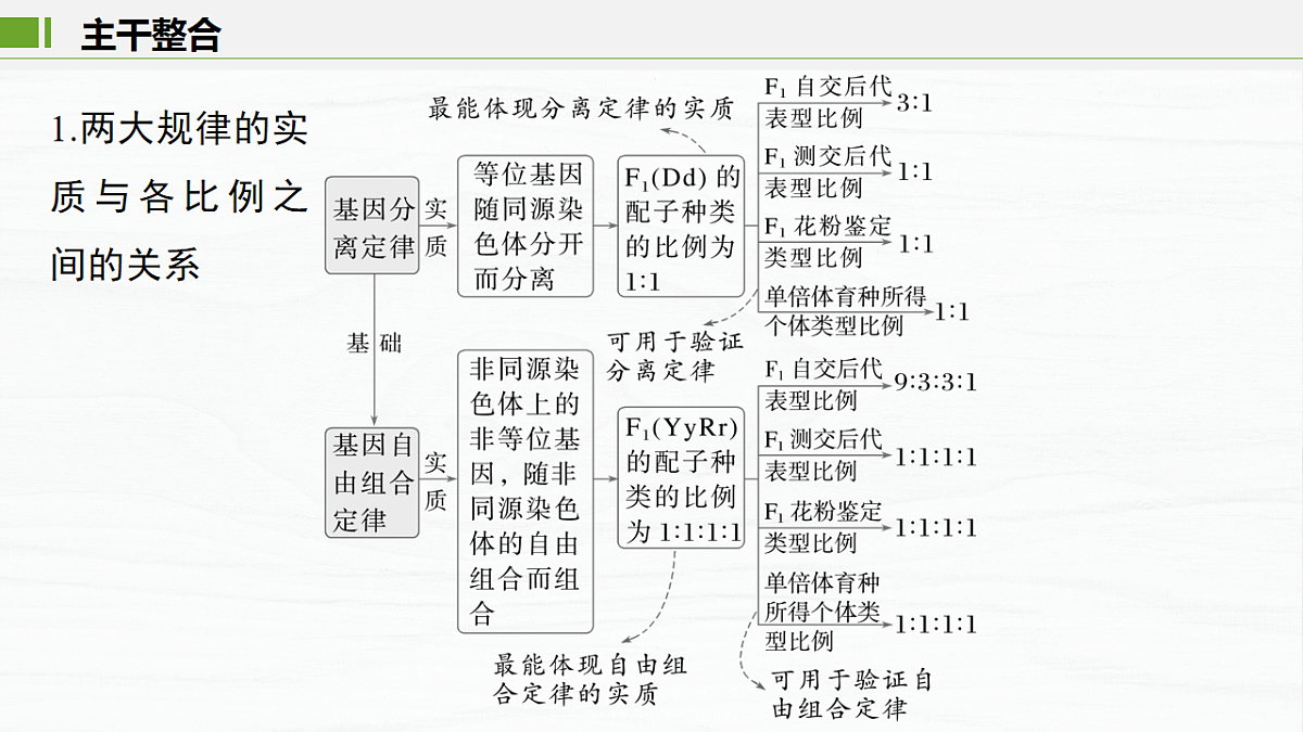 17926302第4页