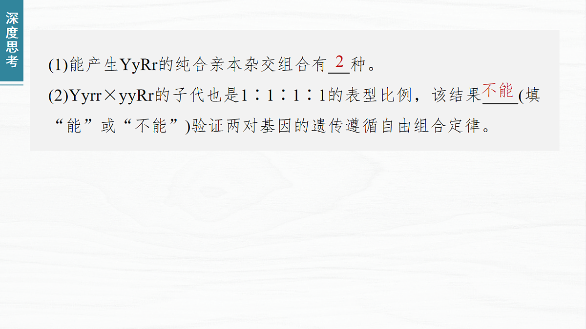 17926302第5页