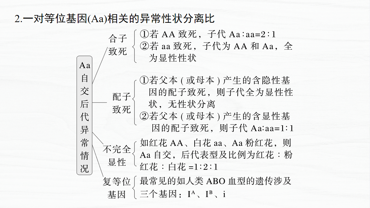 17926302第6页