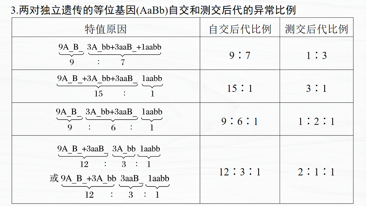 17926302第7页