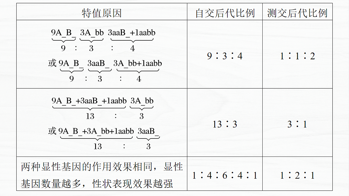 17926302第8页