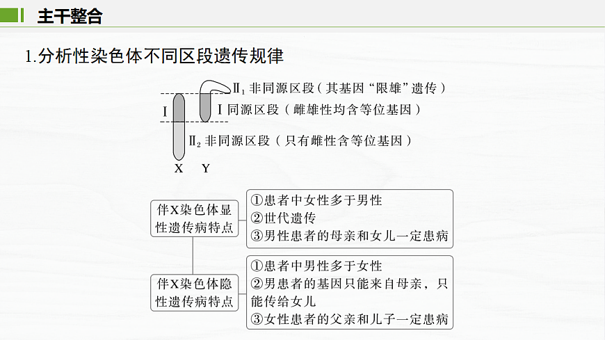 17926303第3页