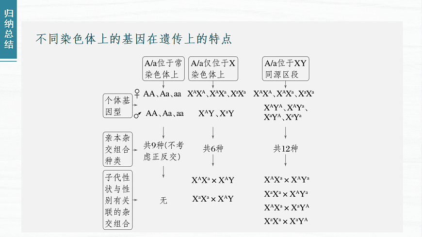 17926303第4页
