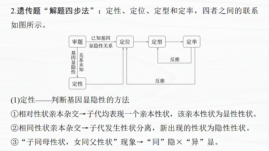 17926303第5页