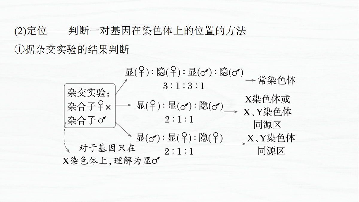 17926303第6页