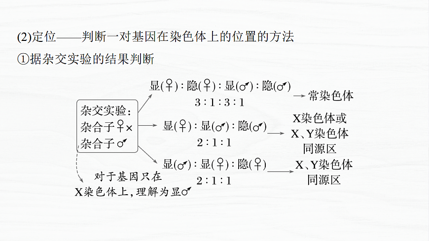 17926303第6页