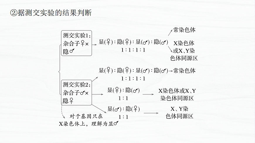 17926303第7页
