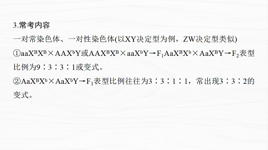 17926303第8页