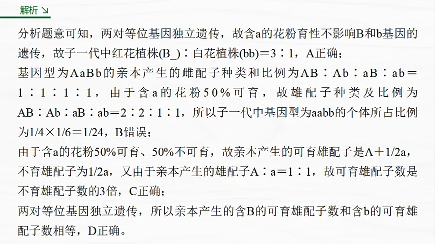 17926304第4页