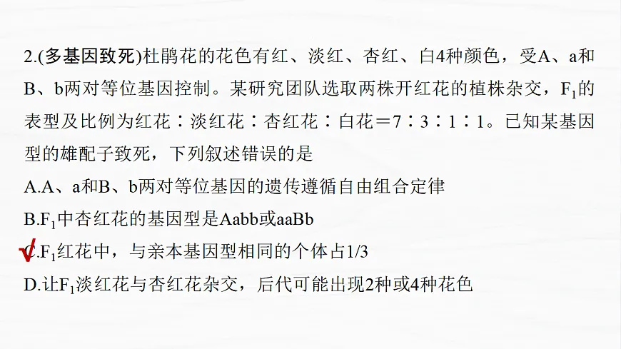 17926304第5页