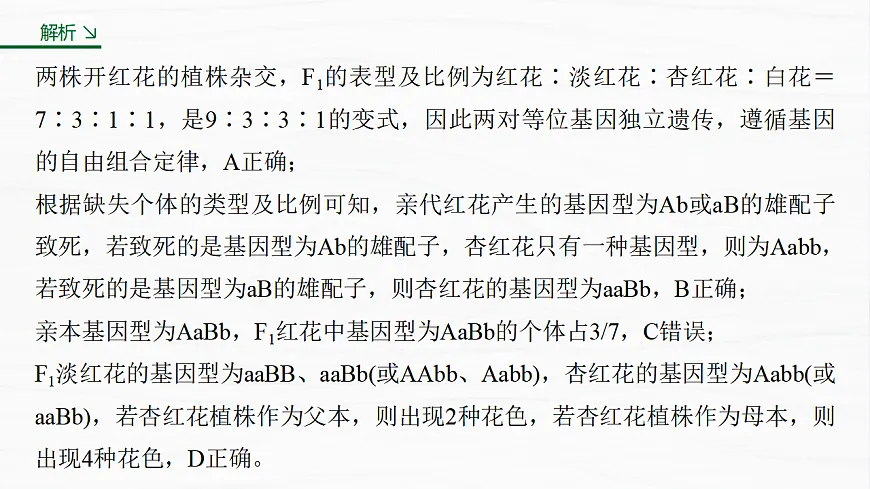 17926304第6页