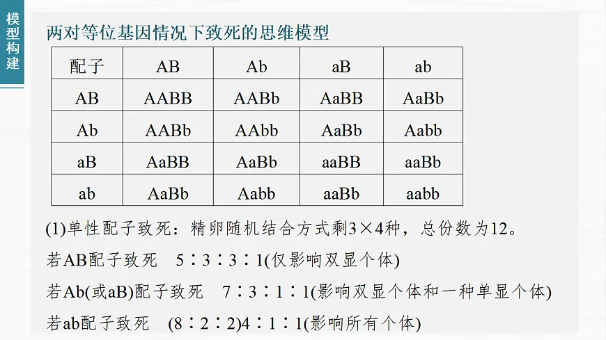 17926304第7页