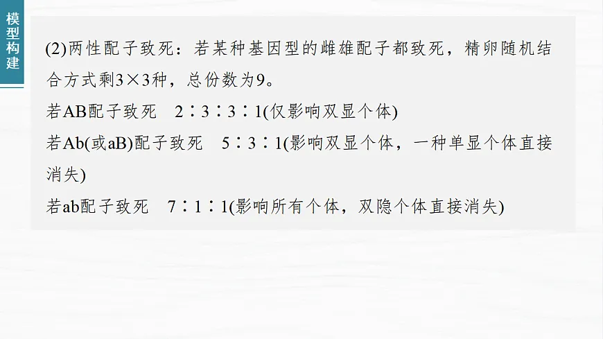 17926304第8页