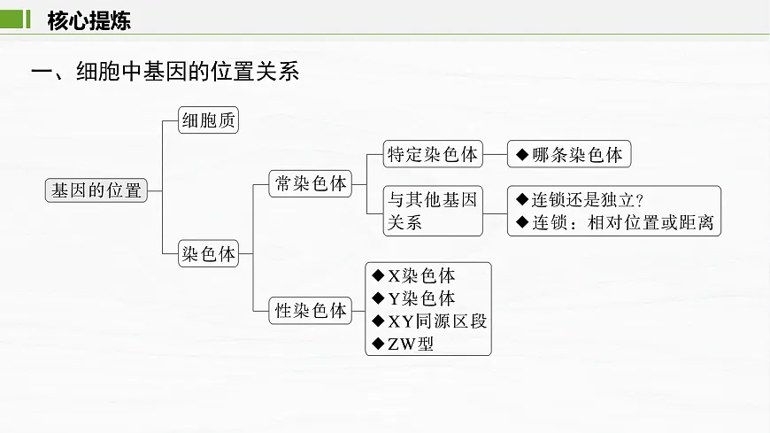17926305第3页