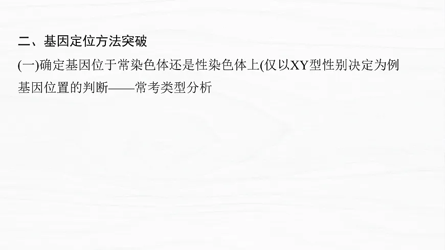 17926305第4页
