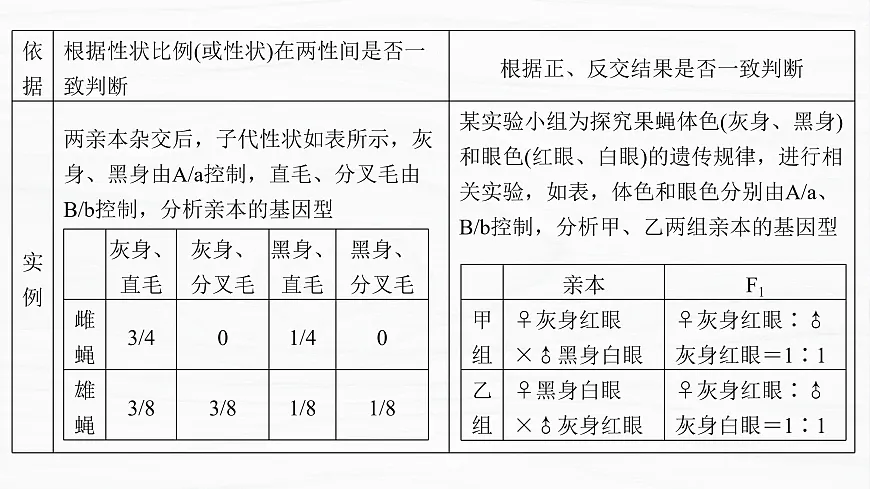 17926305第5页