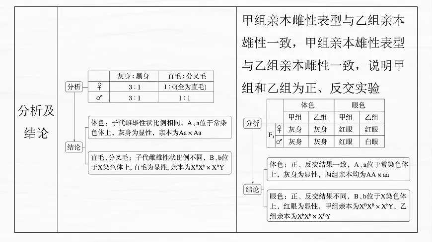 17926305第6页