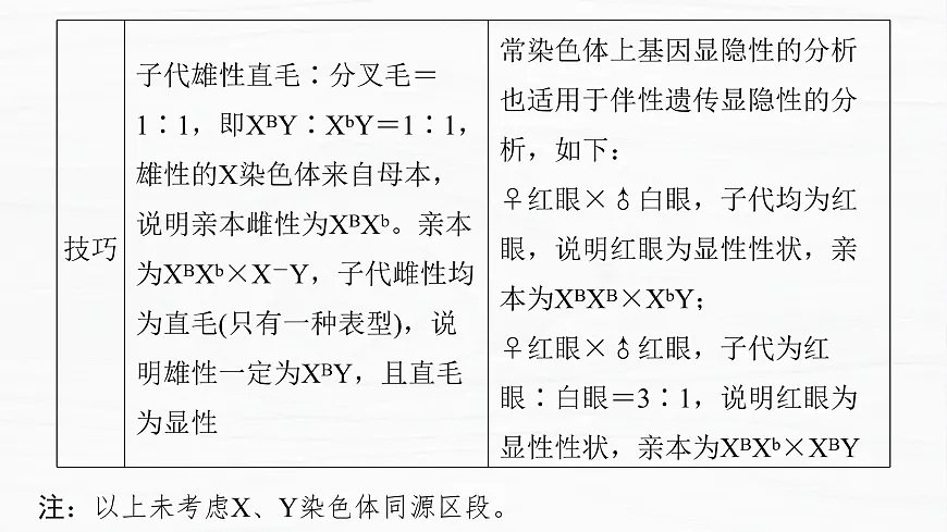 17926305第7页