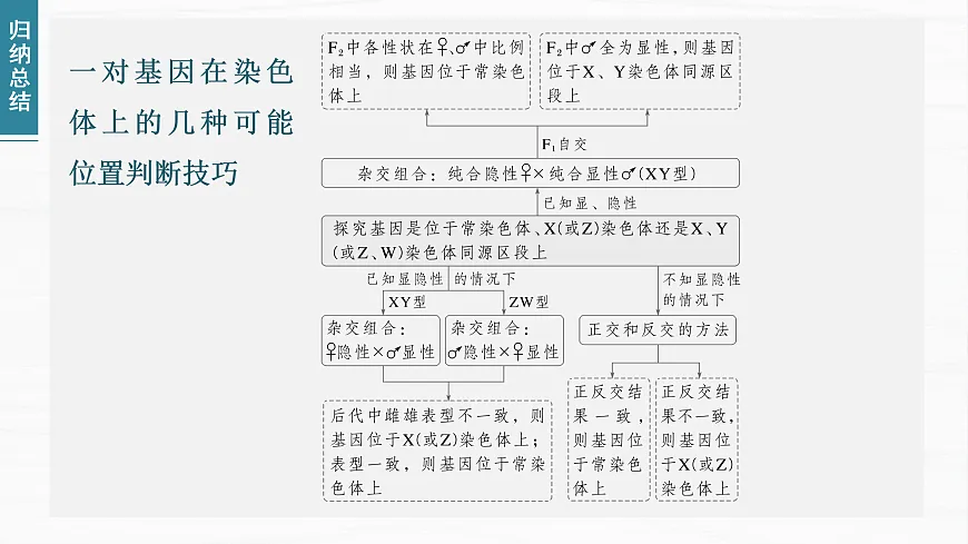 17926305第8页