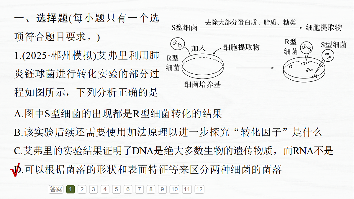 17926308第3页