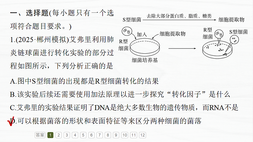 17926308第3页