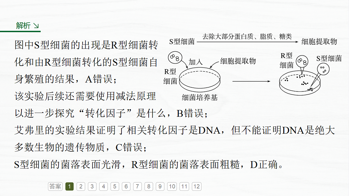 17926308第4页