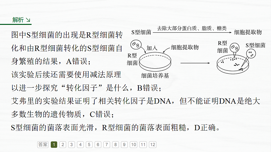 17926308第4页