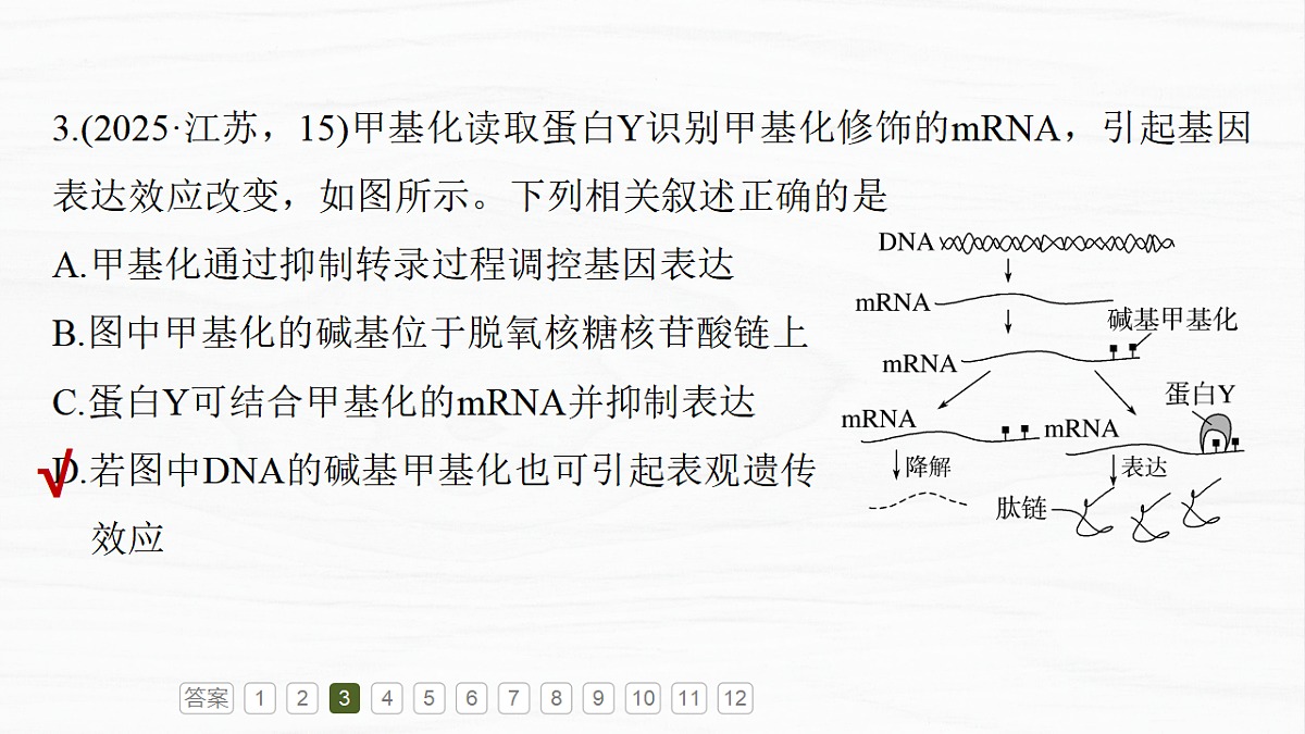 17926308第7页