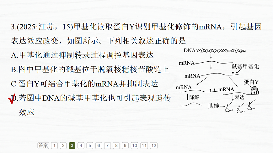 17926308第7页